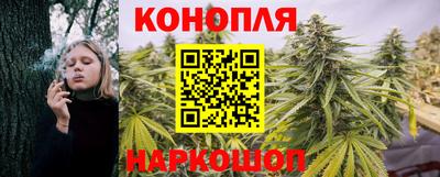 амф Гай