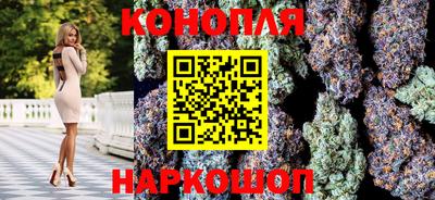 амф Гай